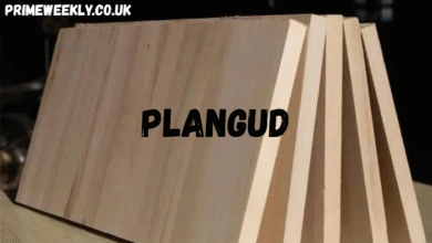 plangud