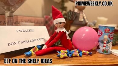 Elf on the Shelf Ideas