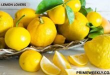 For Lemon Lovers