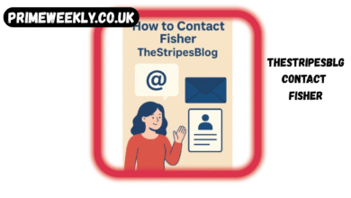 thestripesblog contact fisher