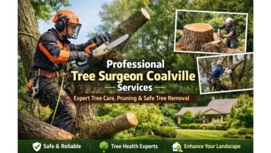 Tree Surgeon